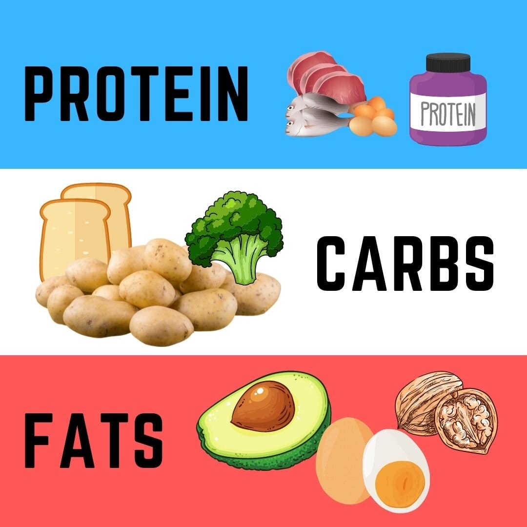 Introduction to Macronutrients - Telos Strength & Conditioning