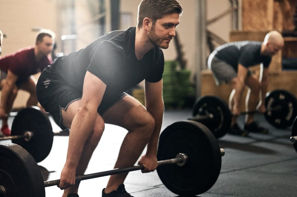 Building Lean Muscle